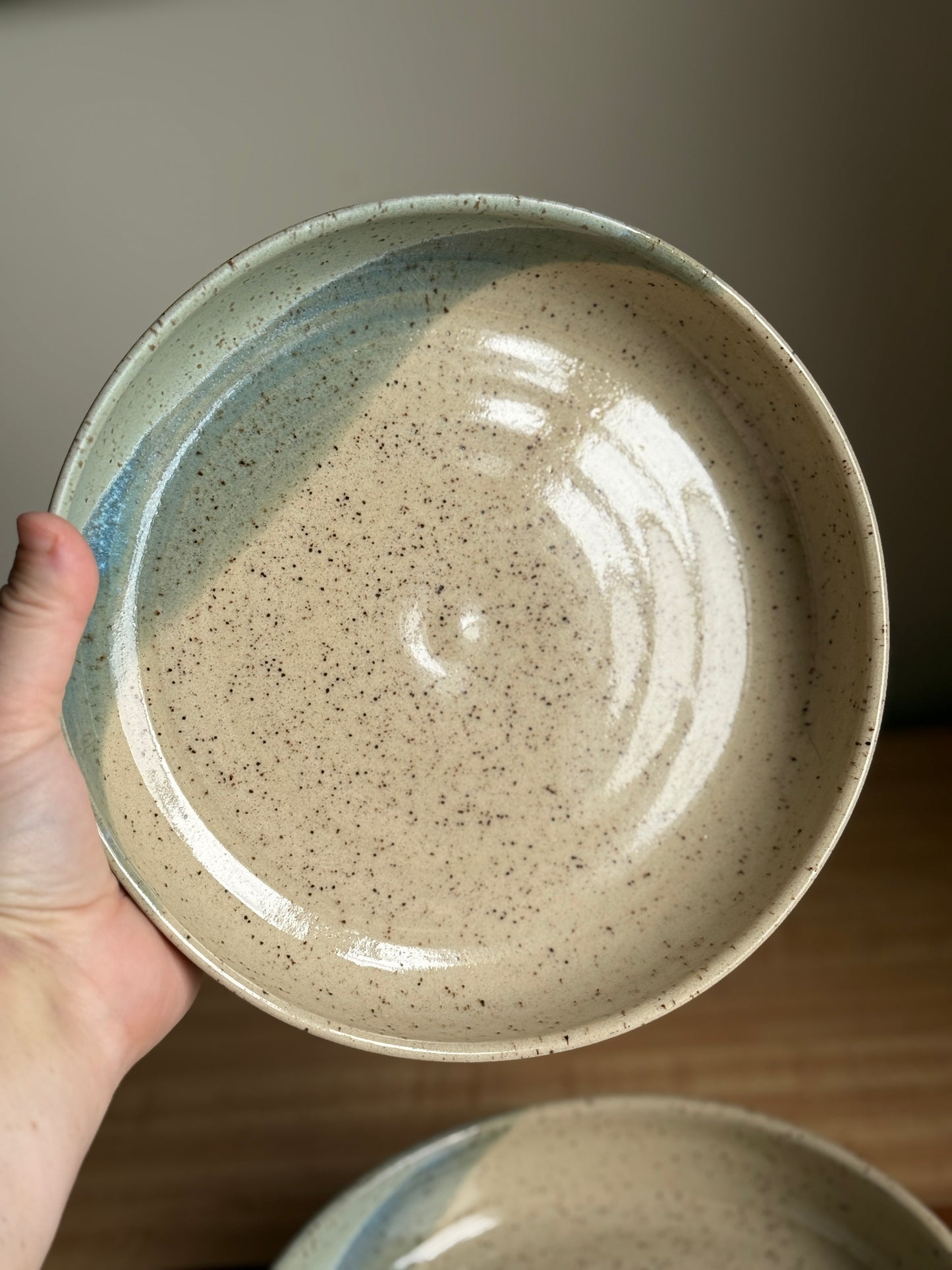 Speckled/ Blue Bowl Plate Set