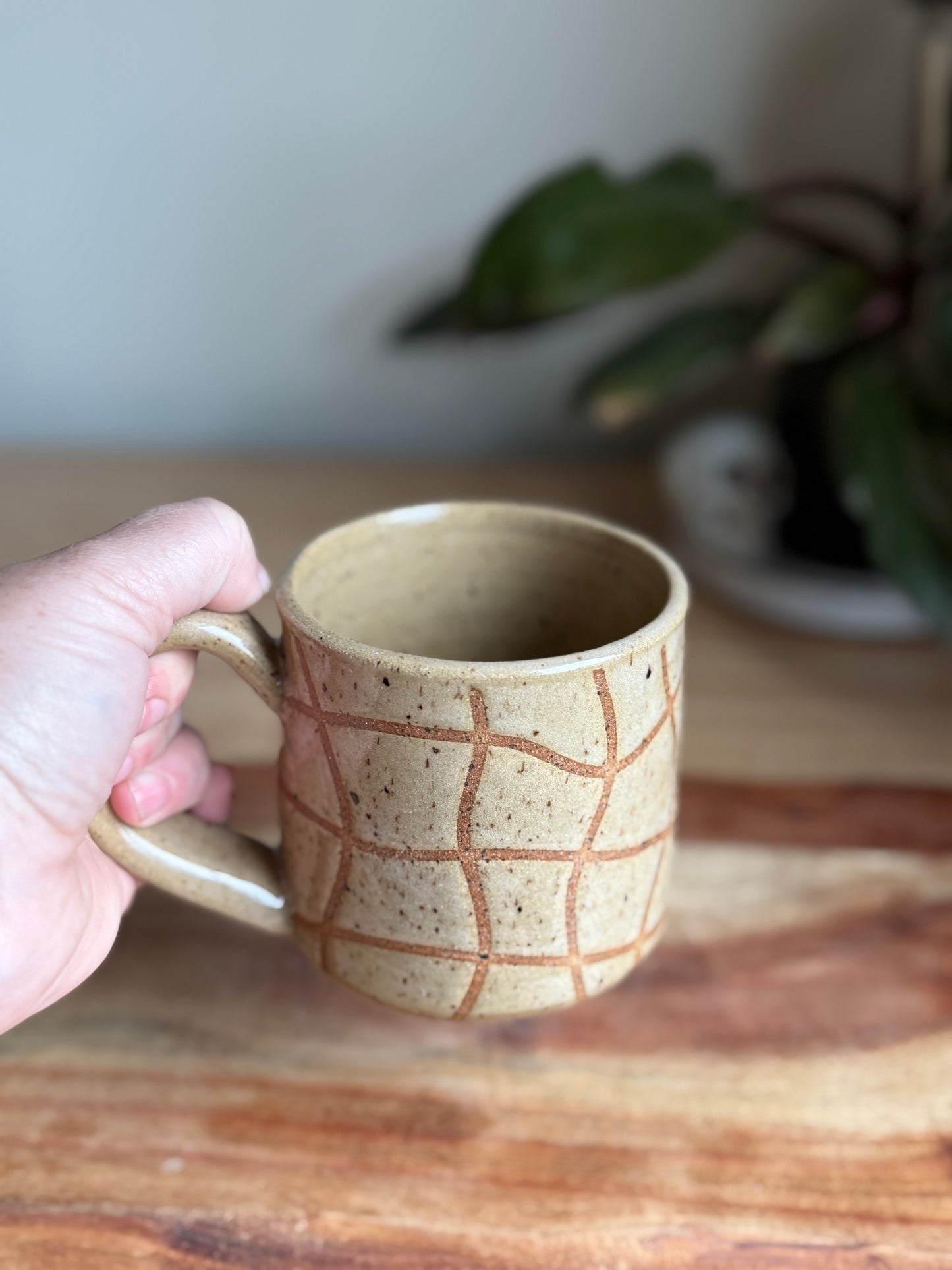 Squiggly Checks Mug