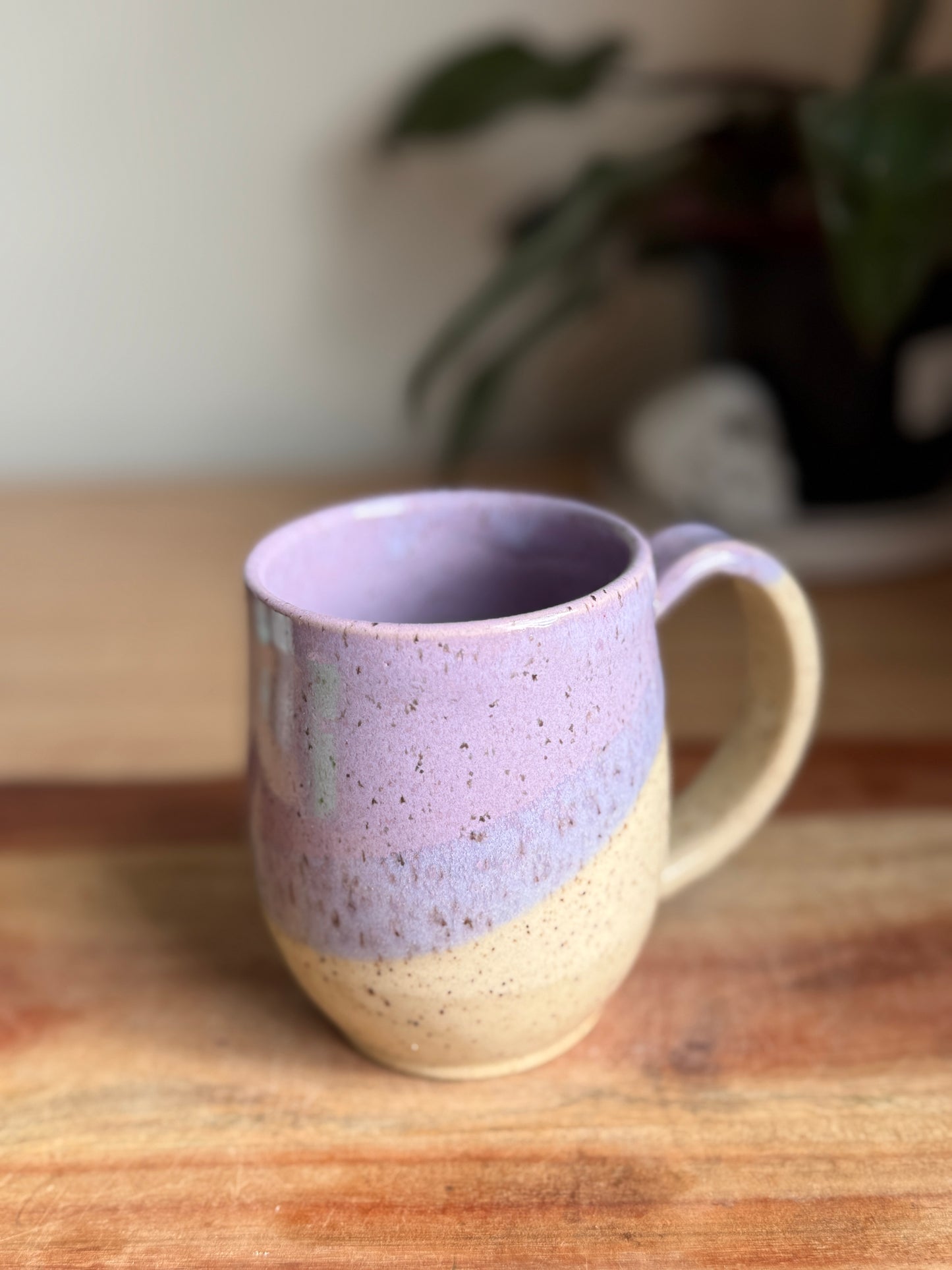 Purple Two Toned Mug B