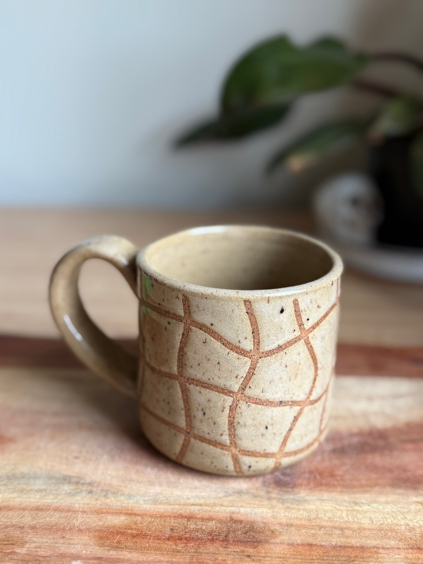 Squiggly Checks Mug