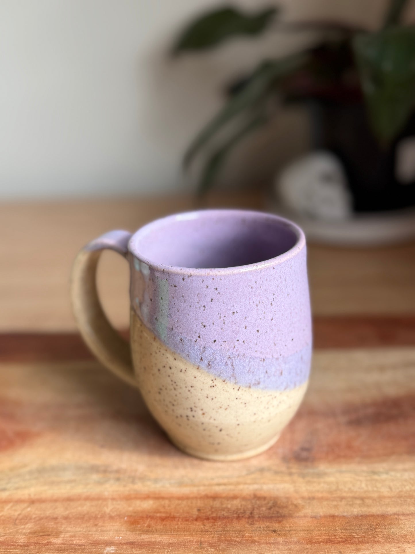 Purple Two Toned Mug B