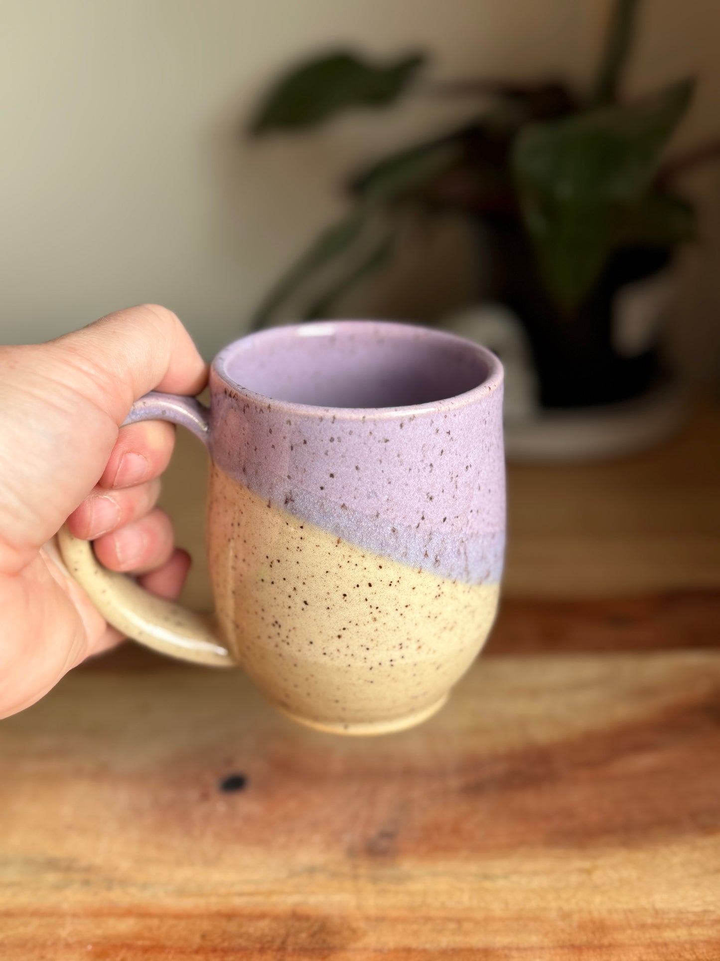 Purple Two Toned Mug B