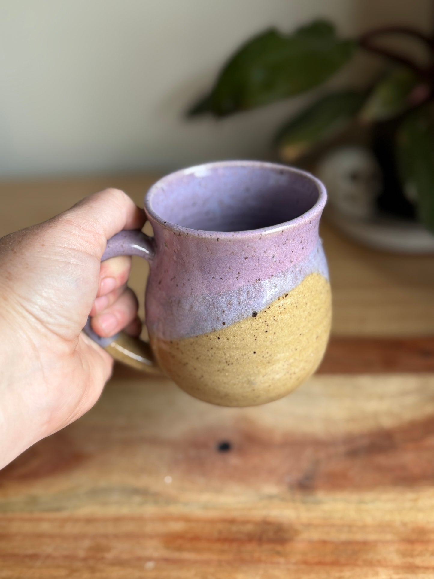 Purple Two Toned Mug A