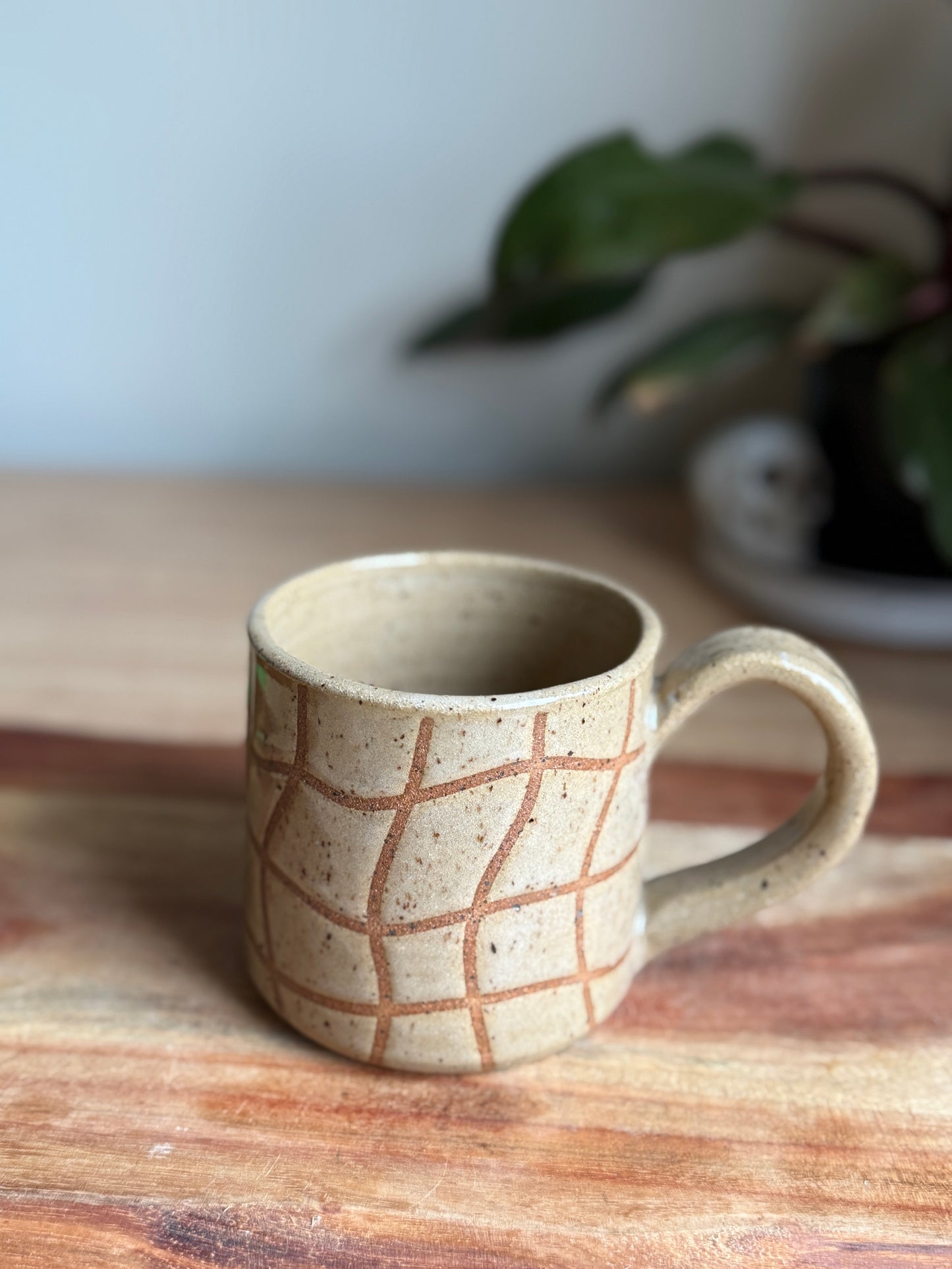 Squiggly Checks Mug