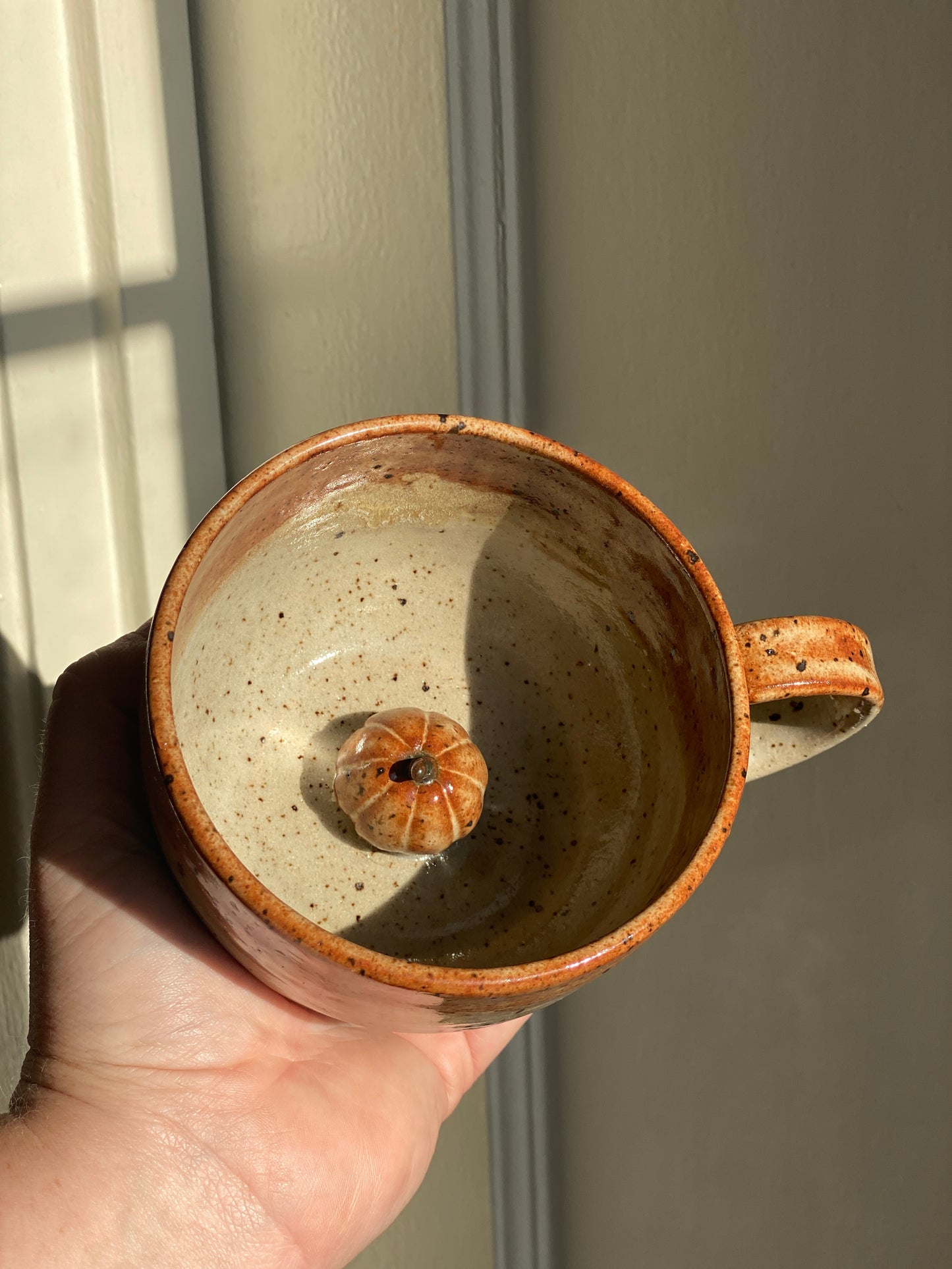 Hidden Pumpkin Mug