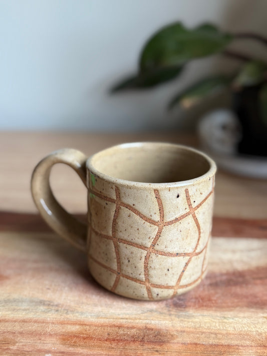 Squiggly Checks Mug