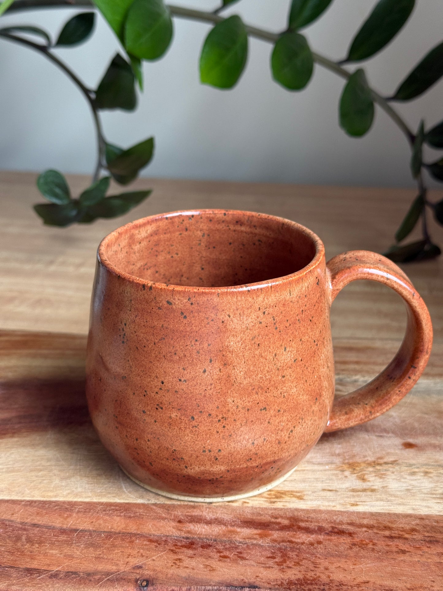 Nutmeg Pumpkin Mug C