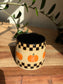 Checkered Pumpkin Mug