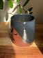 Sparkly Moon and Bat Mug B