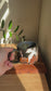 Carved Ghost and Pumpkin Scene Mug B